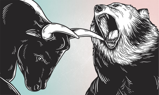 Bull vs Bear